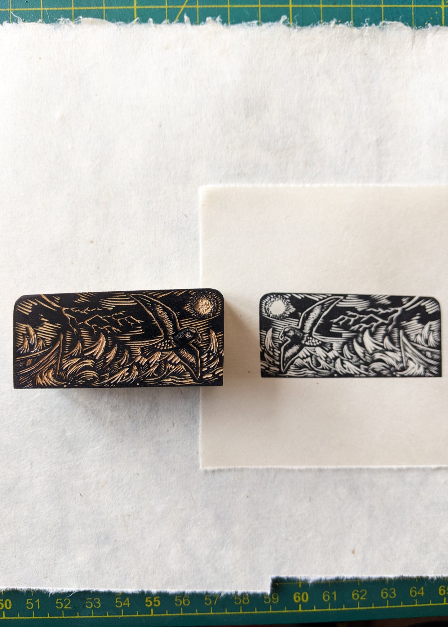 Stormy Petrel - wood engraving