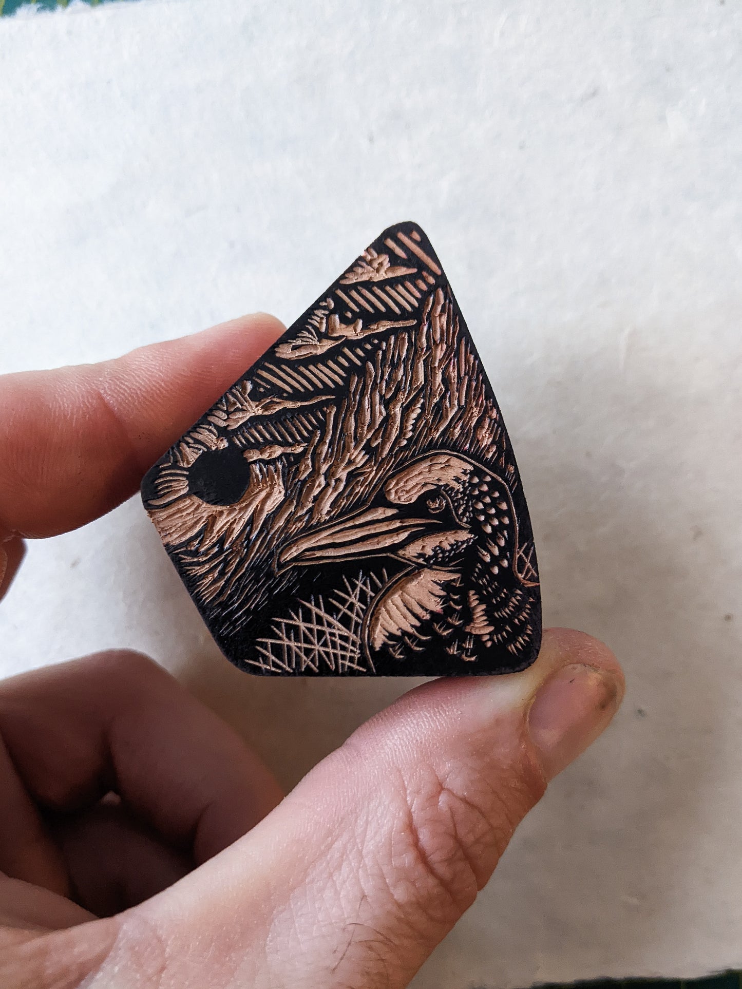 Gannet - wood engraving