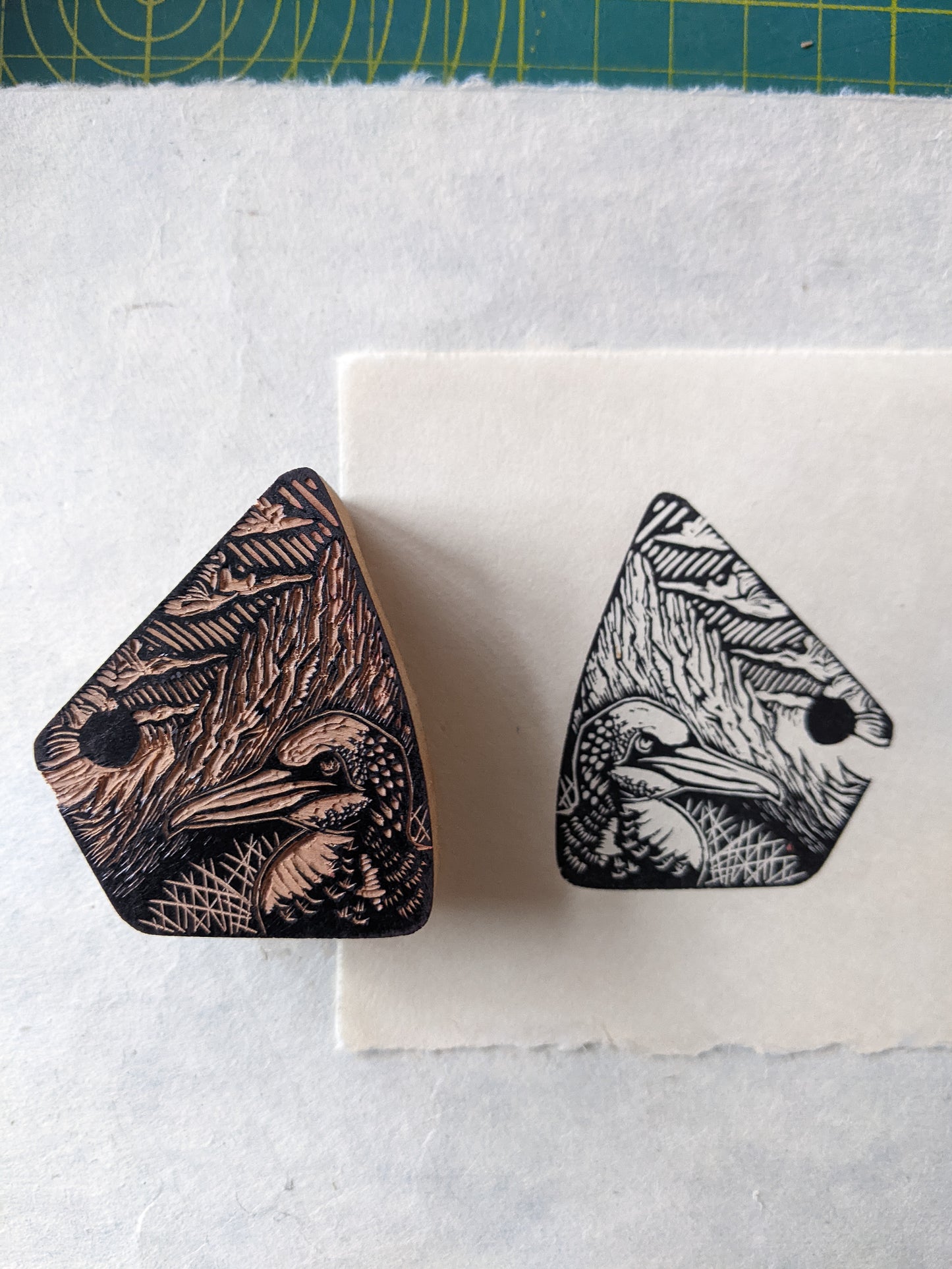 Gannet - wood engraving