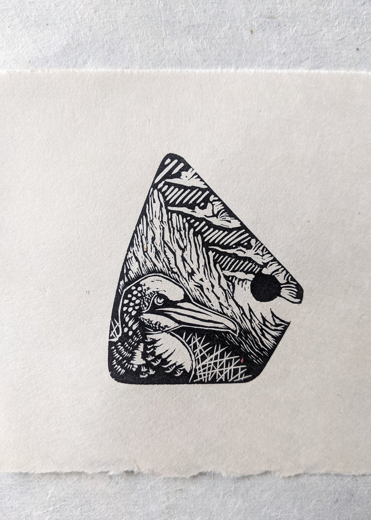 Gannet - wood engraving