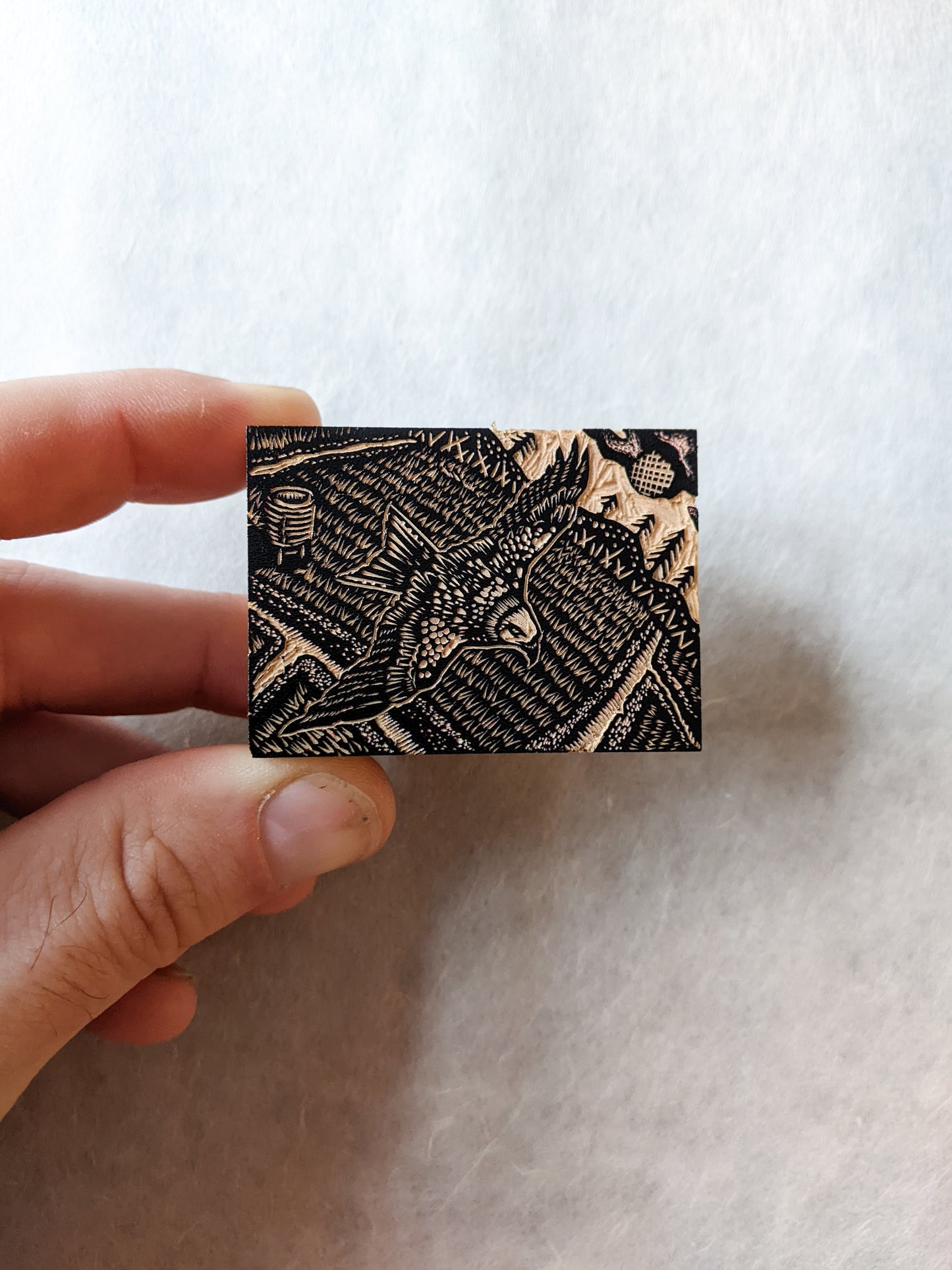 Red Kite - wood engraving