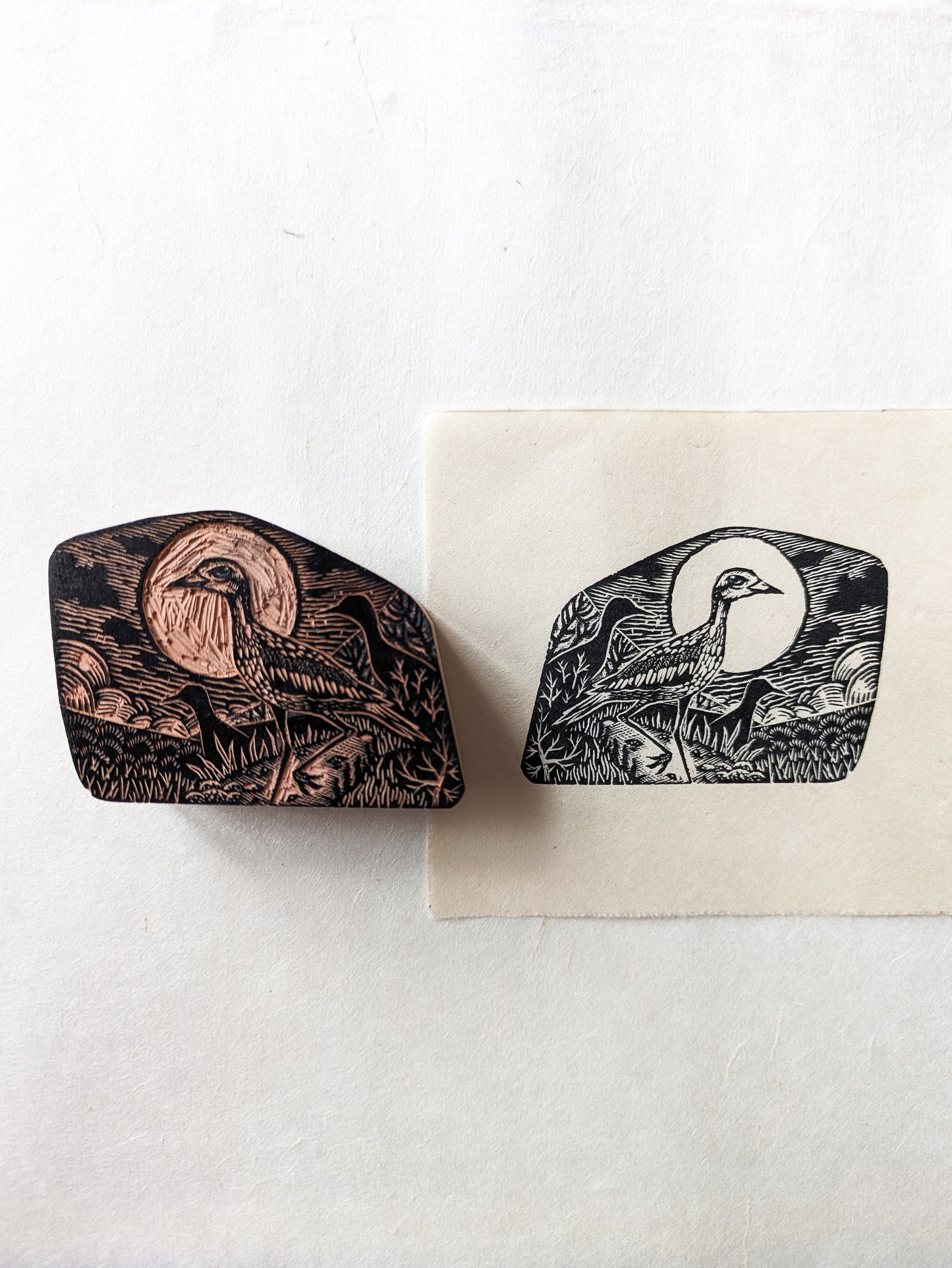 Stone Curlew - wood engraving