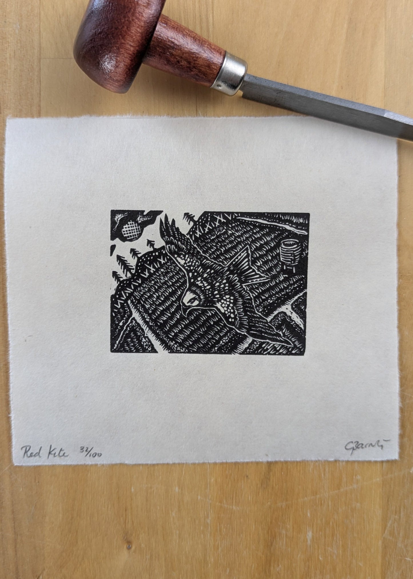 Red Kite - wood engraving