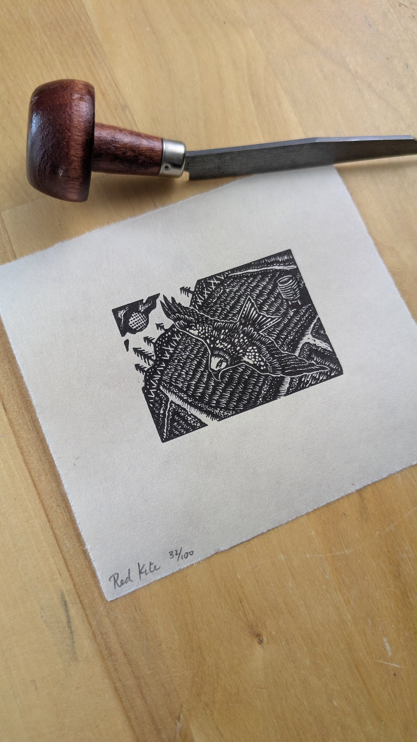 Red Kite - wood engraving