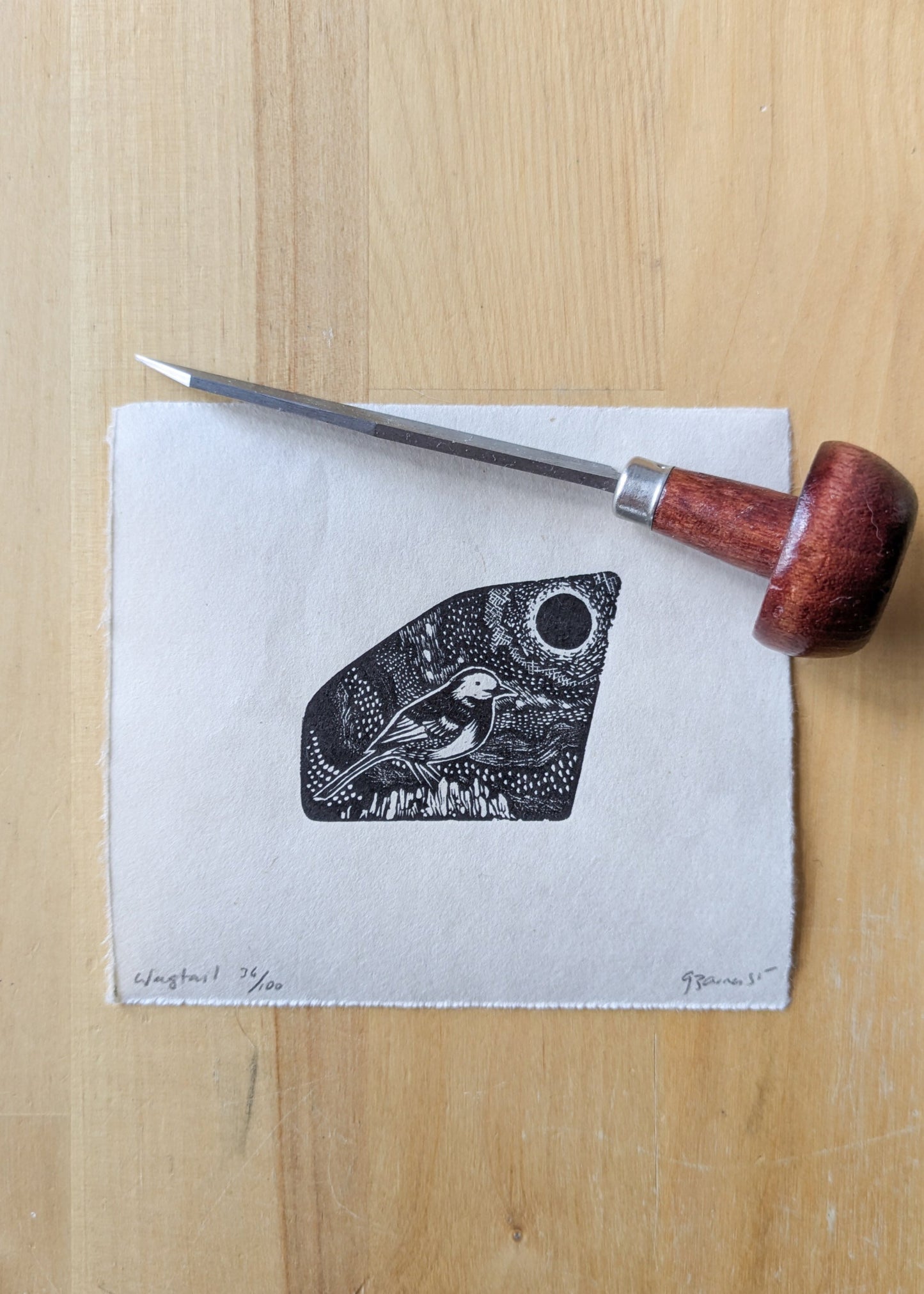 Wagtail - wood engraving