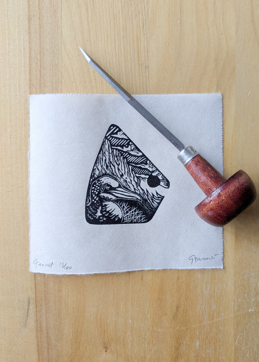 Gannet - wood engraving