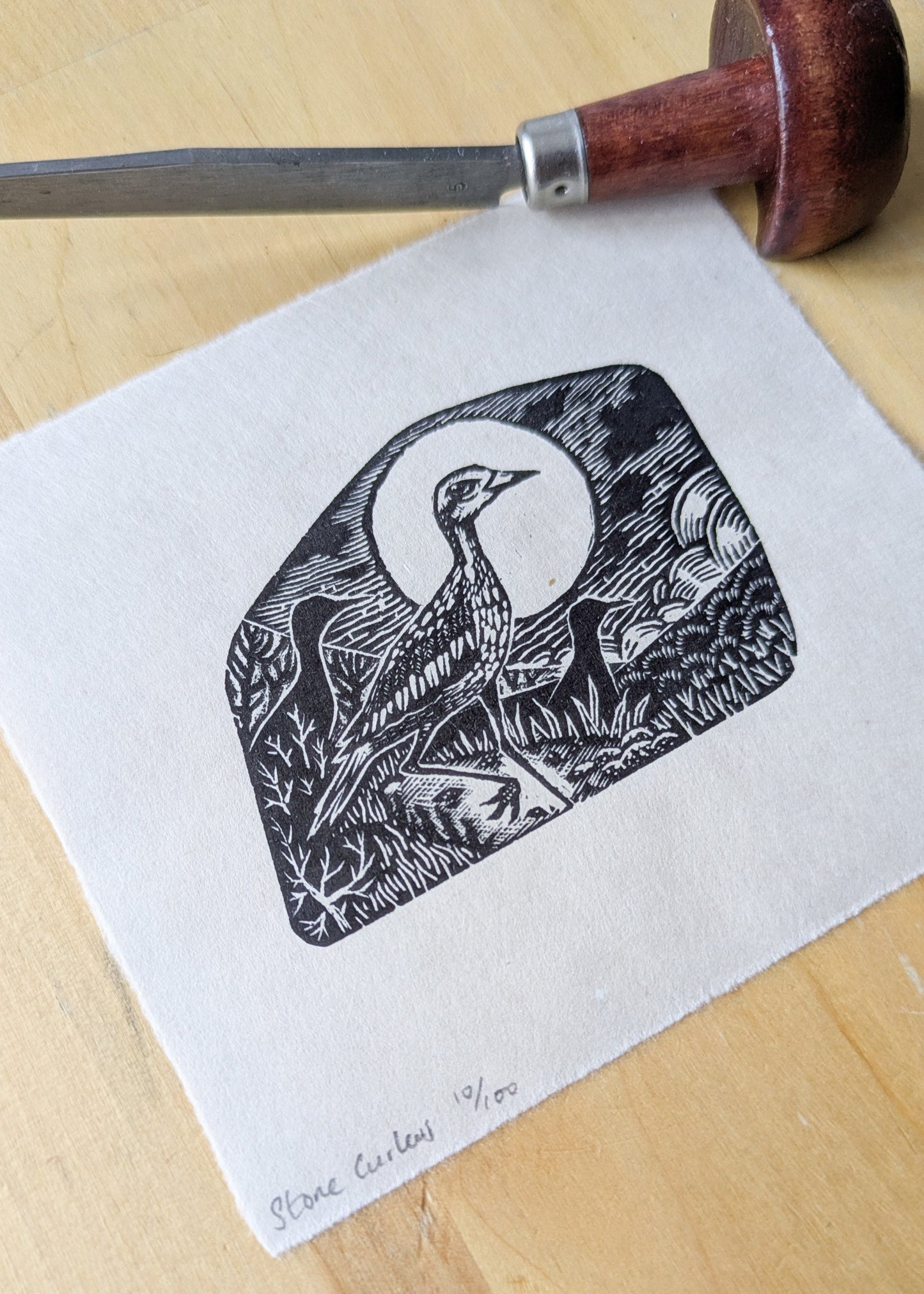 Stone Curlew - wood engraving