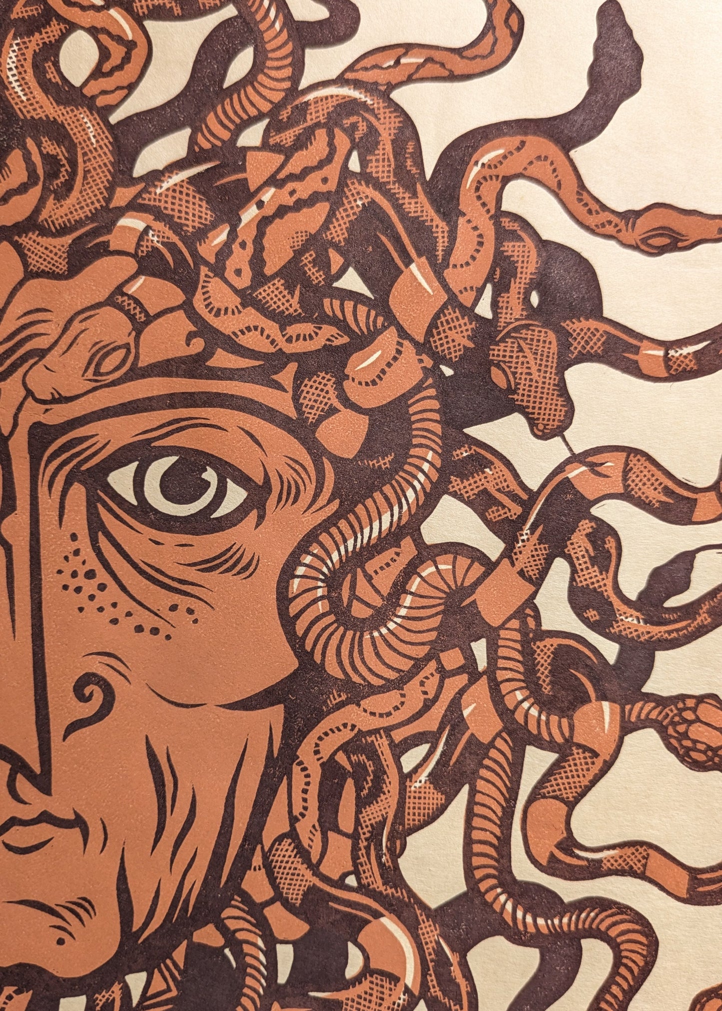 Medusa