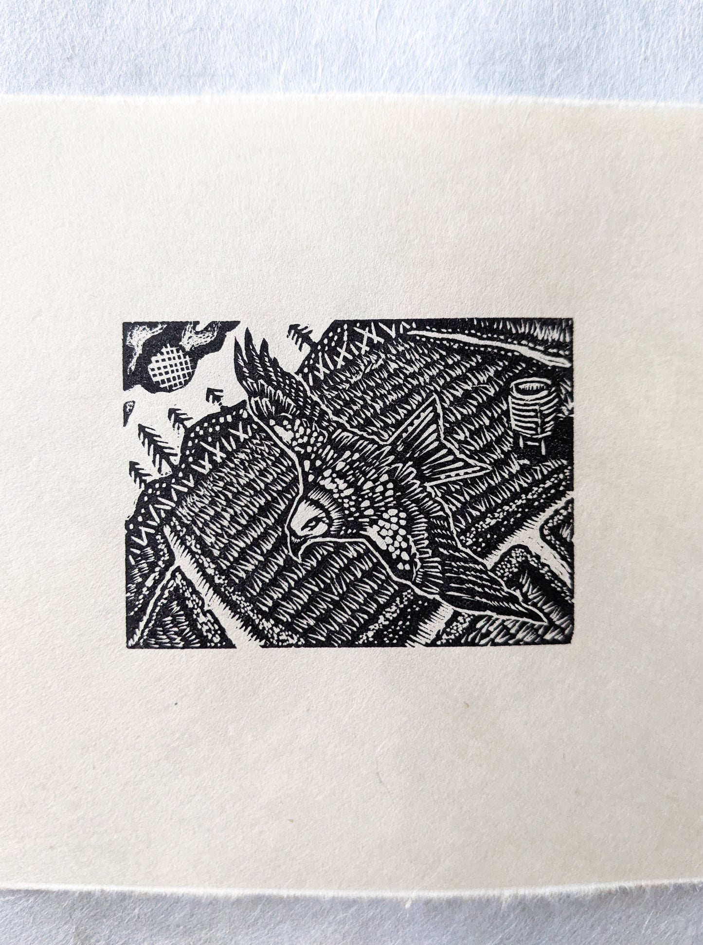 Red Kite - wood engraving