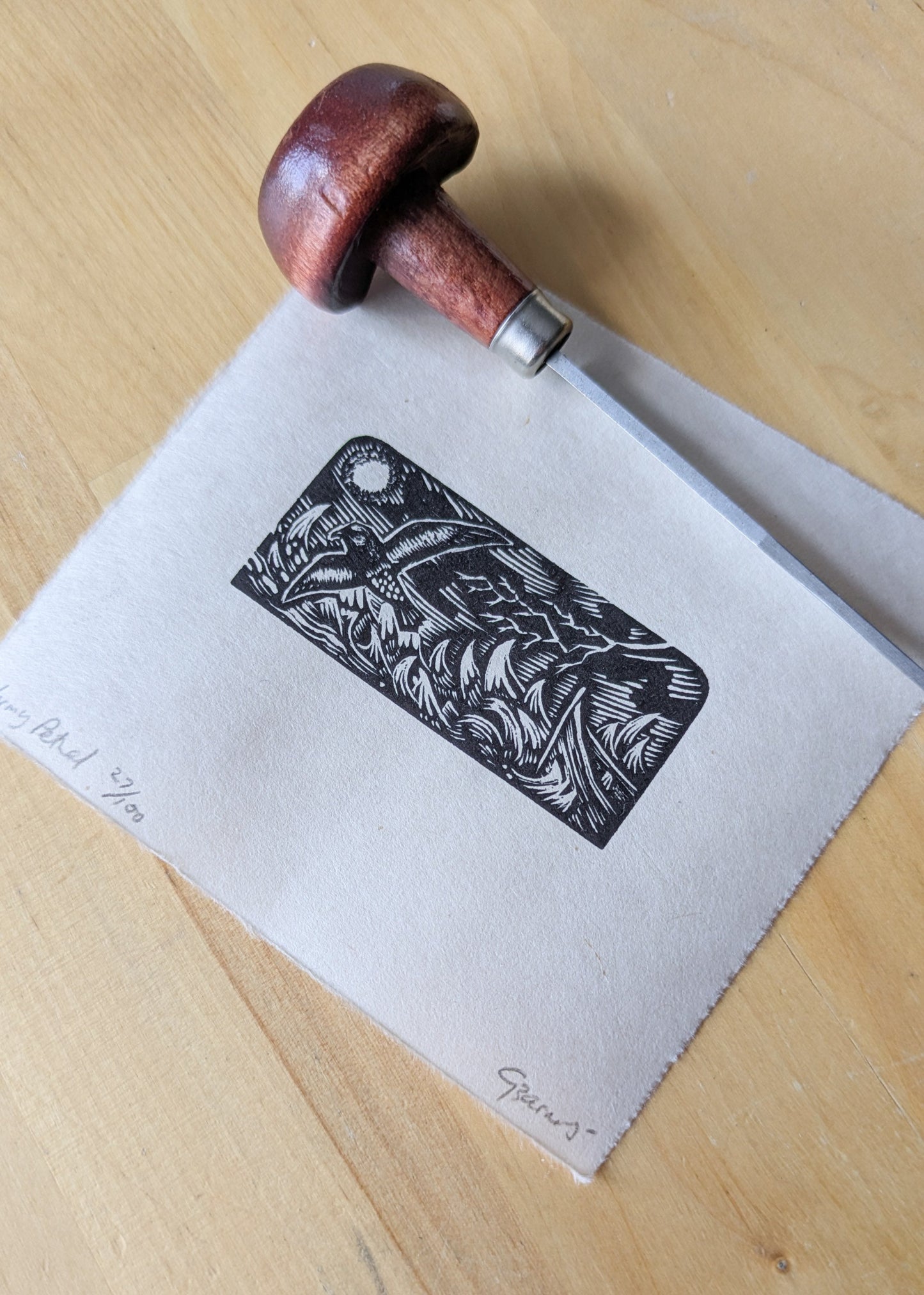 Stormy Petrel - wood engraving